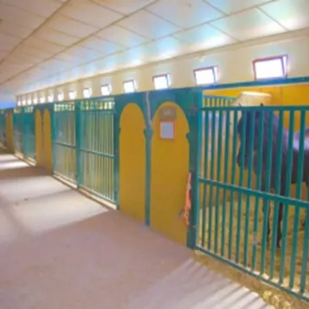 فندق Devesa Gardens &