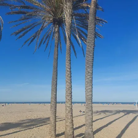 Near The Sea *