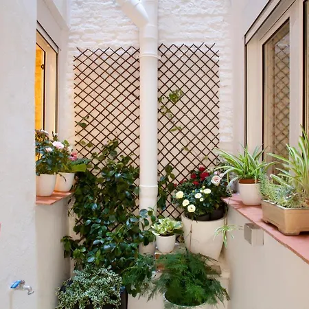 Authentic Charming Apartment/wifi/air Conditioning Appartamento *