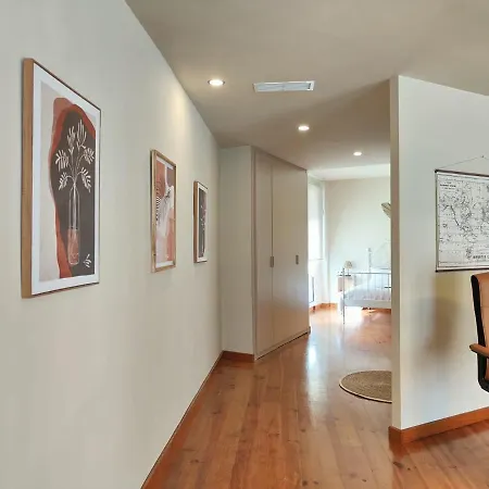 The Luxury Apartment *