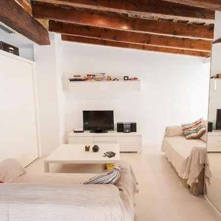 Atico Tapineria Apartment *