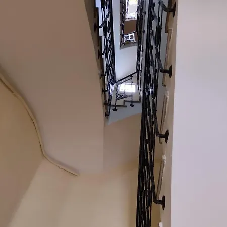 Young Penthouse