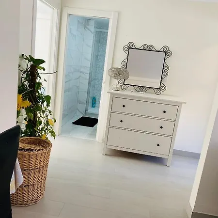 Cuidad Ciencias فالنسيا