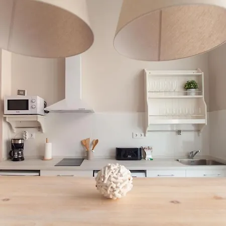 Md Patacona Mid-term *