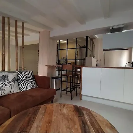 公寓 Charming Loft In The Heart Of El Carmen 瓦伦西亚