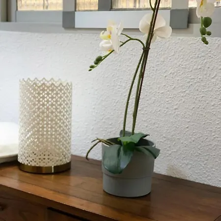 Cerca Al Puerto Shared Pensjonat *