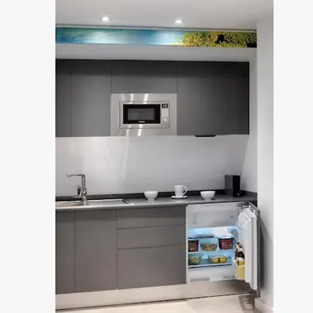 Apartamento Office Reina 7 *