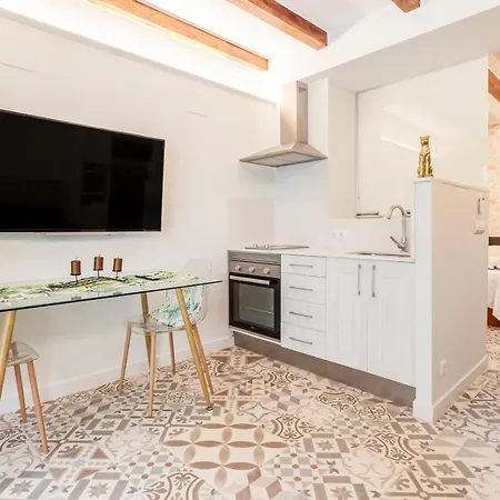 Loft Ruzafa Apartment