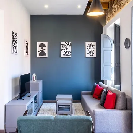 Spacious Penthouse With Massive Terrace Apartment Valencia