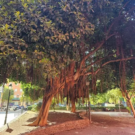 公寓 Lounge Garden Sea Relax *