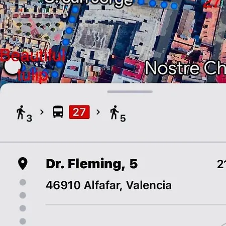 Beautiful Tulip * 瓦伦西亚