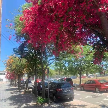 Fantastic Loft With An Exquisite Design 公寓 瓦伦西亚