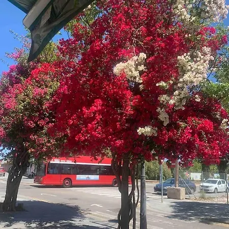 公寓 Fantastic Loft With An Exquisite Design