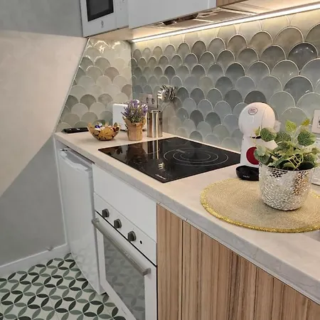 Lounge Garden Sea Mint Fresh ולנסיה