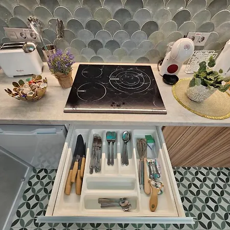 Lounge Garden Sea Mint Fresh