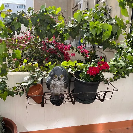 Apartamento Ruzafa Centro Ii