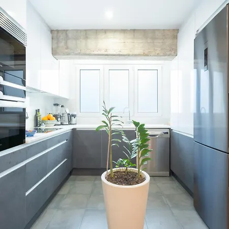 Lujoso ático Palau De La Música Valencia