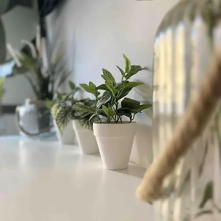 - Cabanyal Boutique Nyaraló *