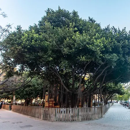 Batflats - Ruzafa ולנסיה