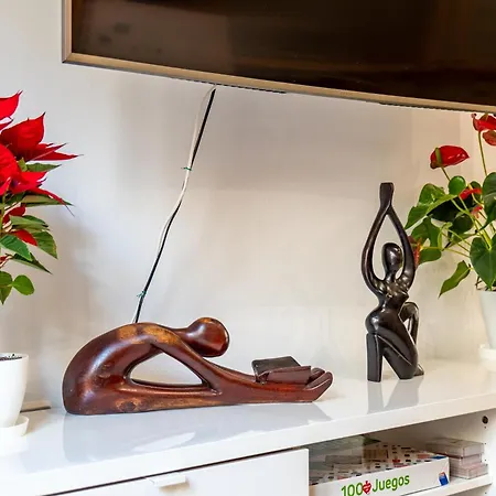 Atico Ruzafa Centro Apartment Valencia