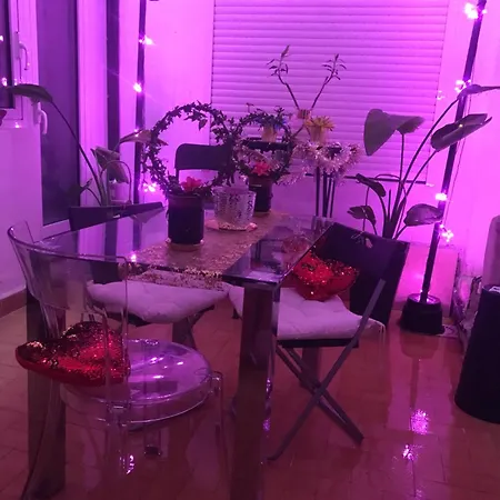 Papillon Nocleg ze śniadaniem *