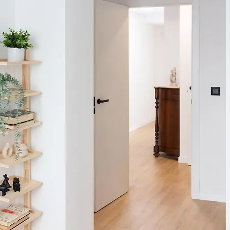 Vlc Host - Leones * Valencia