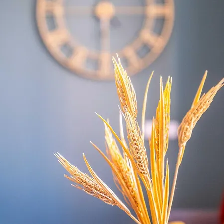 Amazing With Afun And Friendly Atmosphere