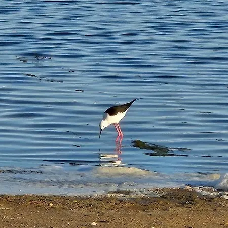 Apartamento Lake & Sea Apartament