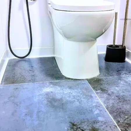 Ynfinity 瓦伦西亚