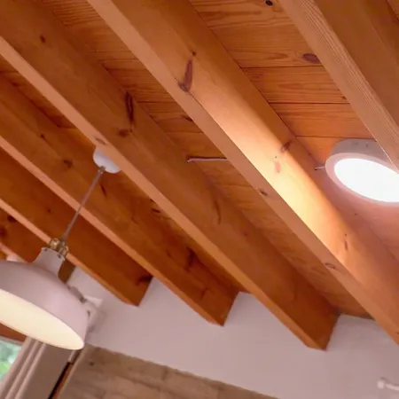 De Diseno En Plaza Del Carmen F4