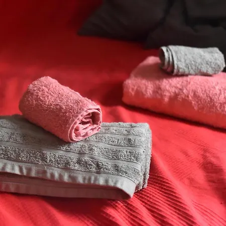 Habitación en casa particular Großes Modernes Silber Für 2 Personen Und Katzenliebhaber *