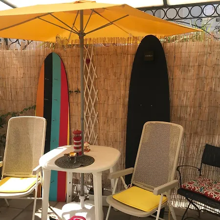 Papillon Nocleg ze śniadaniem