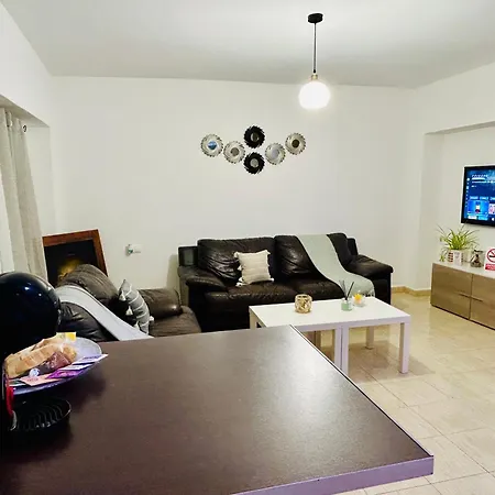 Beautiful Tulip 瓦伦西亚