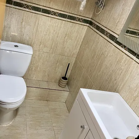 Beautiful Tulip * 瓦伦西亚