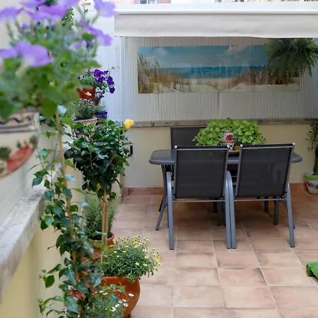 Lovely Near The & Of Arts And Sciences * バレンシア