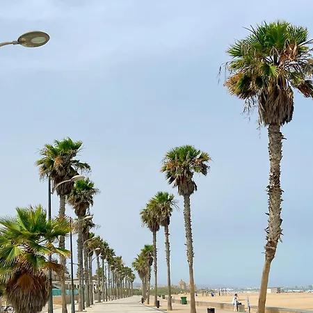 Lejlighed Stylish Well-connected Beachfront Flat Valencia
