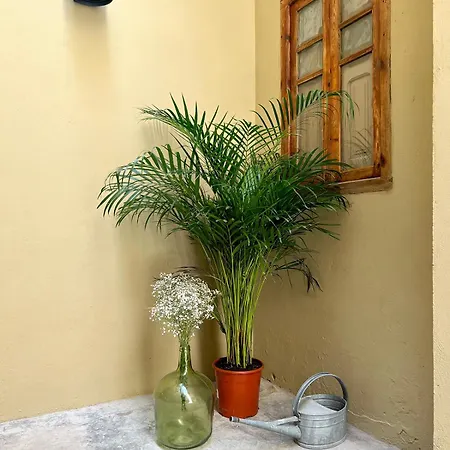 Apartmán El Rincon De Maria Vicenta