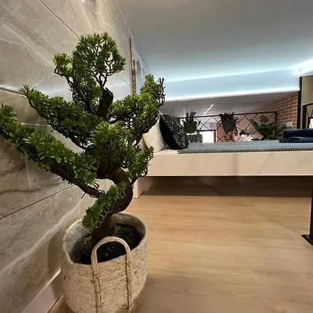 Carcaixent 24 מלון דירות ולנסיה