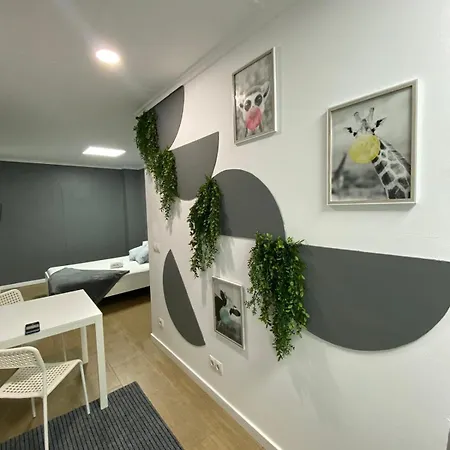 Optimus Comfort Pensión Valencia