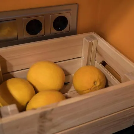 Daire Centrico Y Reformado Con Estilo Valensiya