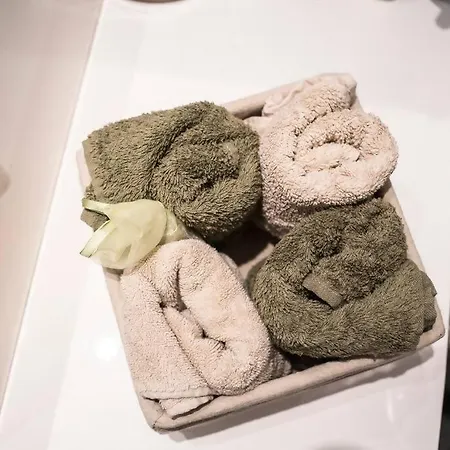 Centrico Y Reformado Con Estilo Daire Valensiya