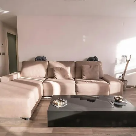 Centrico Y Reformado Con Estilo * Valensiya