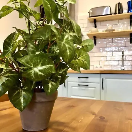 Apartamento Casita Privada Con Encanto En La Playa De *