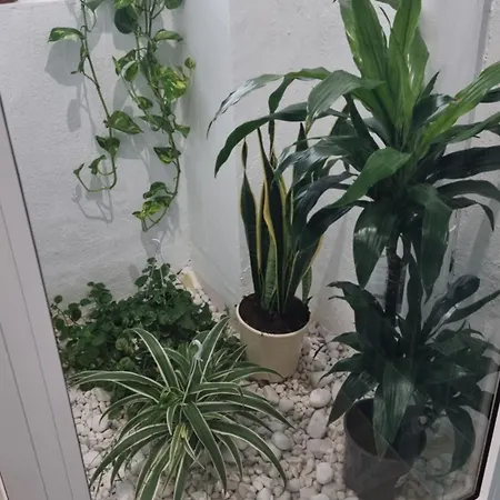 Apartment Romantic In The Heart Of Cabanyal Valencia