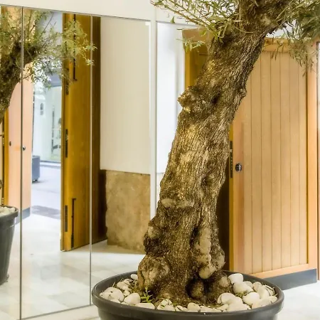 Catalina Downtown Lejlighedshotel 4*