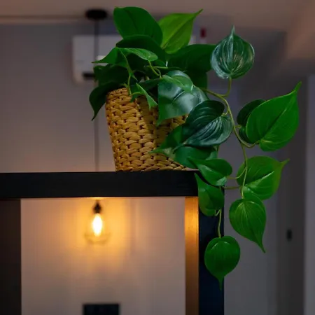 Alojamiento Centrico En Apartment
