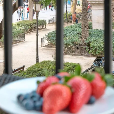 De Diseno En La Plaza Del Carmen F1 *