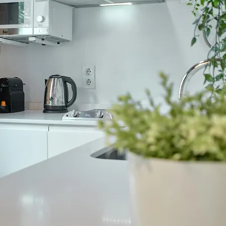 De Diseno En La Plaza Del Carmen F1 Valence