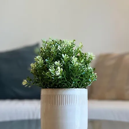 Apartamento Non Stress Templo *