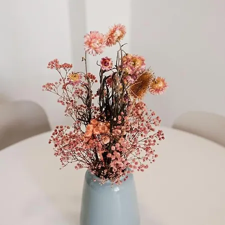 Lofts Plaza Jm Orense C * Валенсия